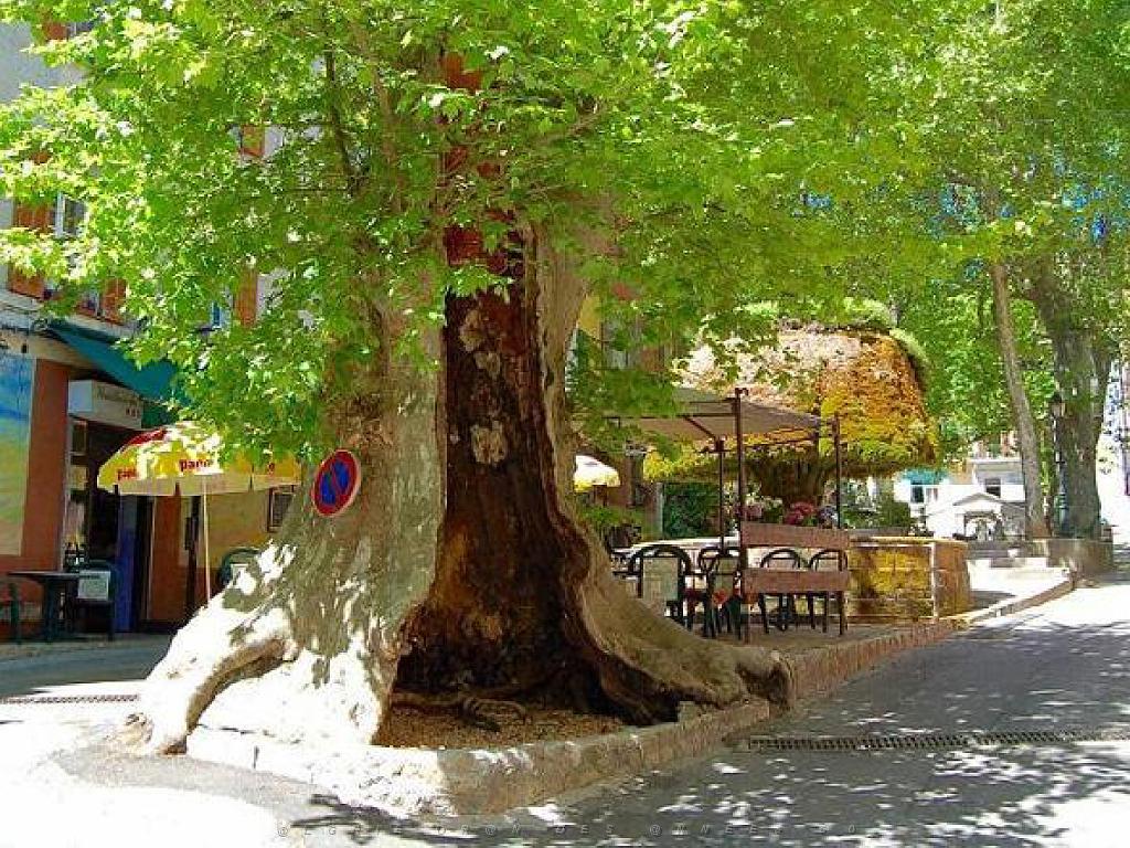 183 D32 BARJOLS_000023.jpg